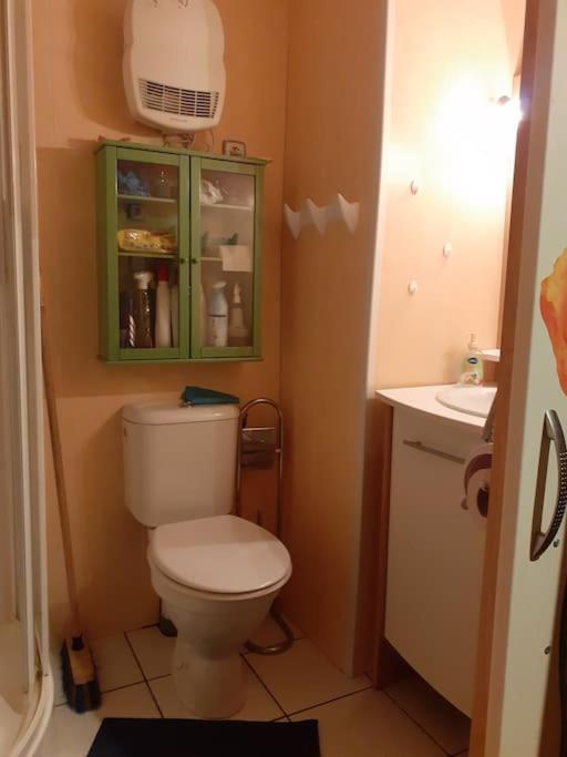 Appartement Face Au Thermes Et Au Calme Bagnères-de-Luchon エクステリア 写真
